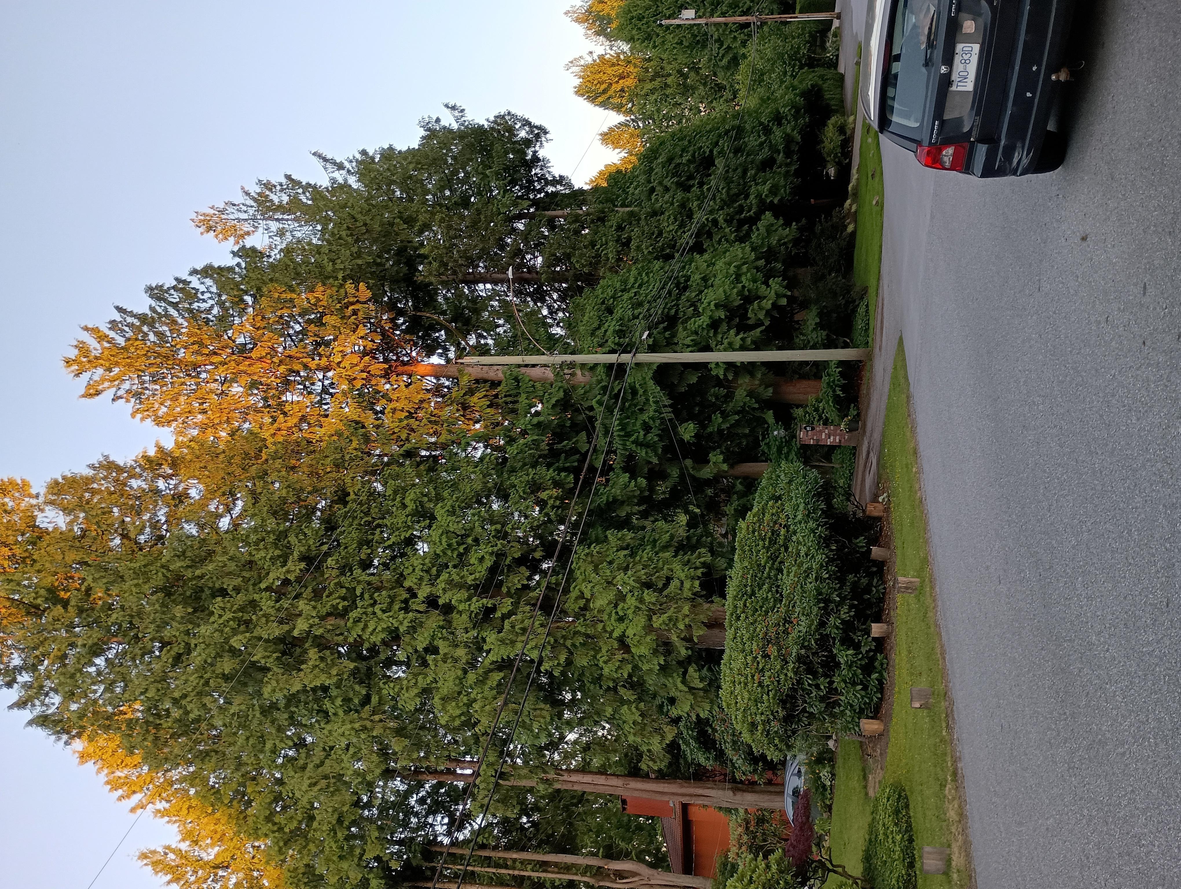 Beautiful place to walk around