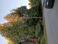 Beautiful place to walk around