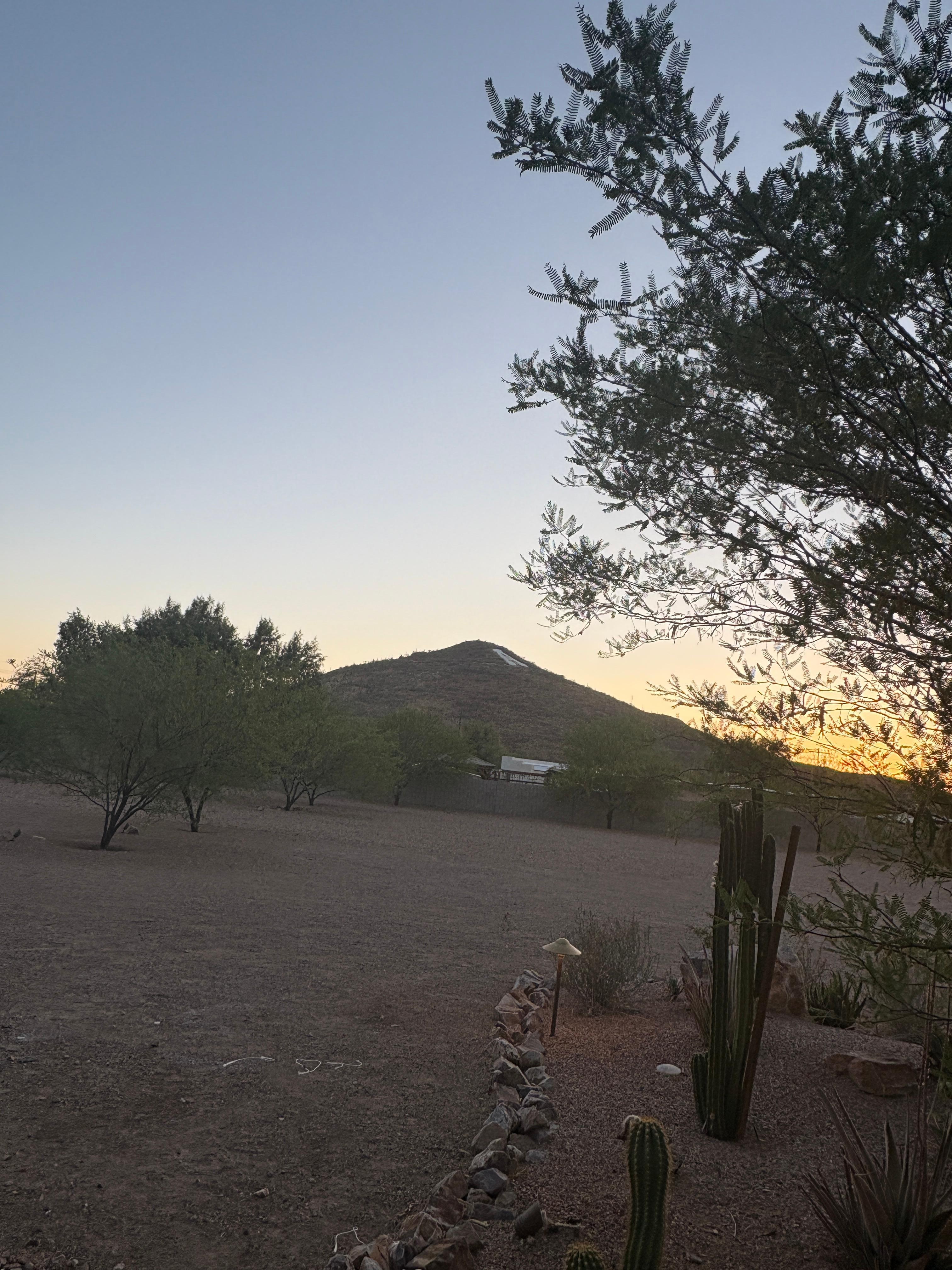 View from the garden