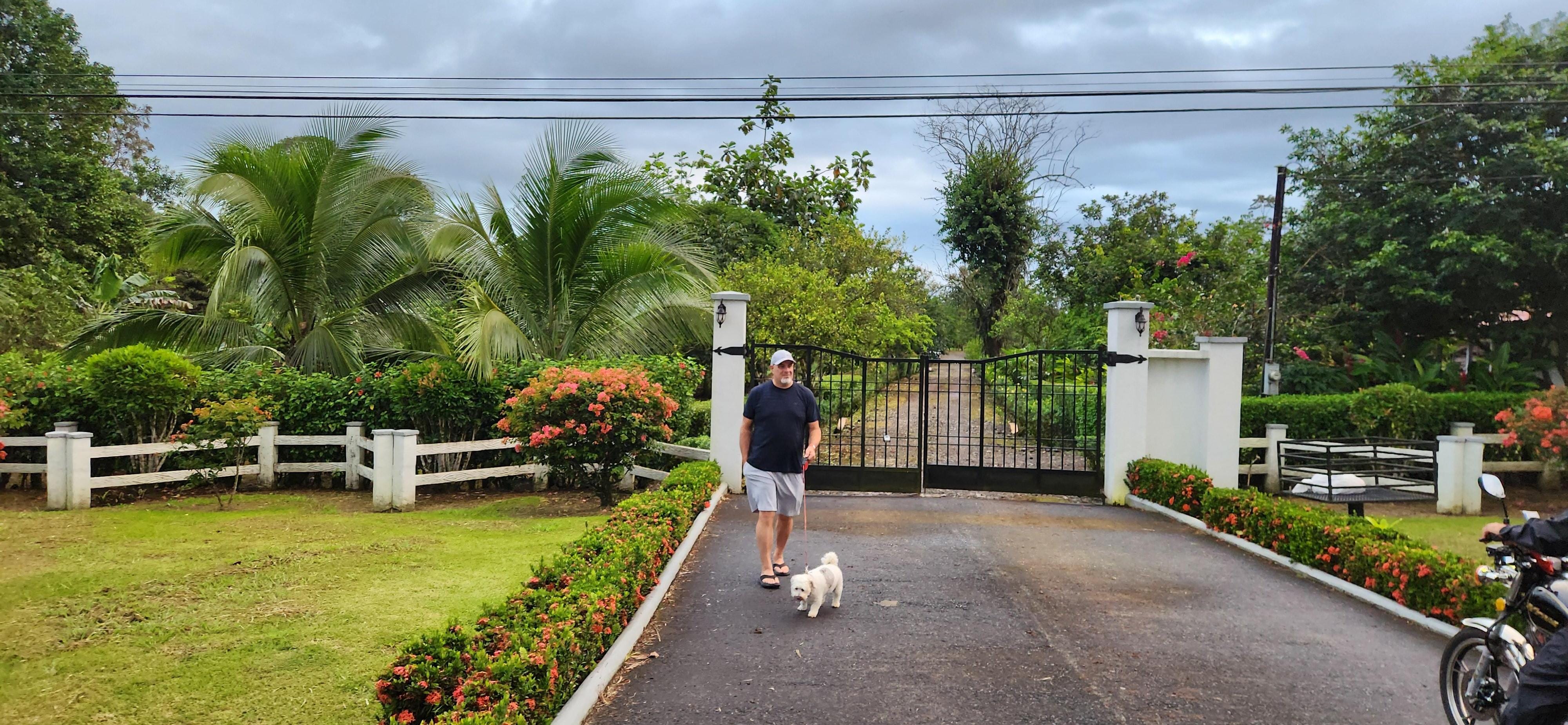 Very secure gate at the front of the property. 