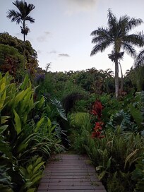 Pictures of the gardens can't capture it's true beauty.