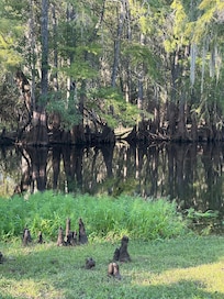 Withlacoochee river