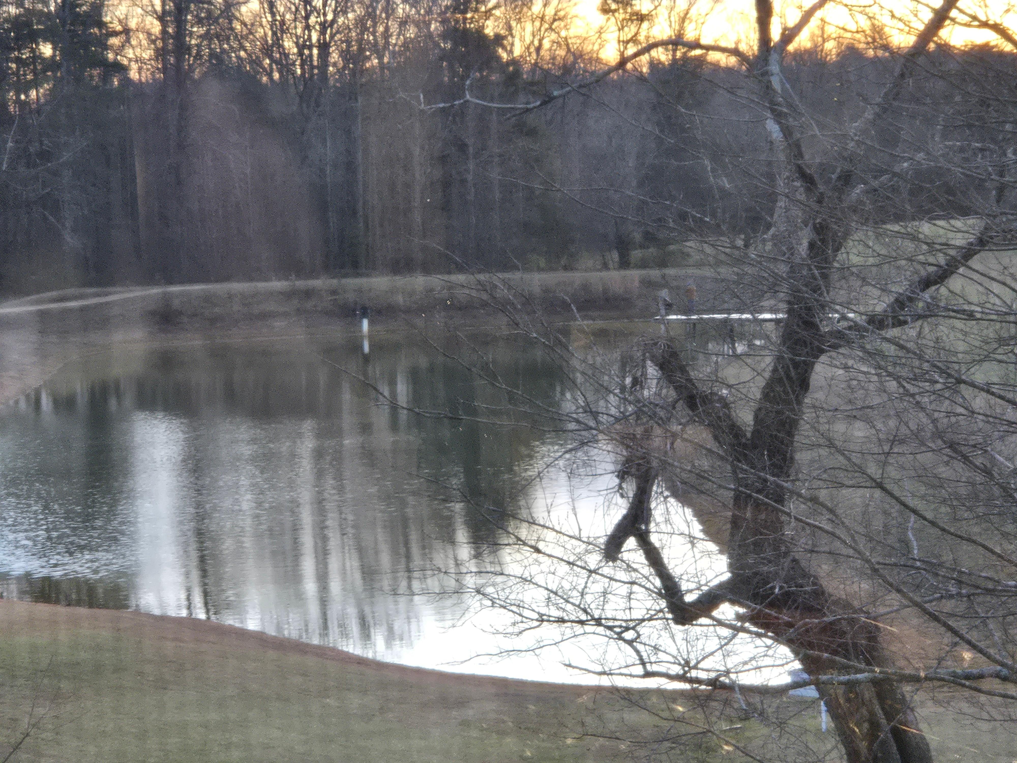 A stocked pond. We caught 10 fish just a few hours.