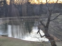 A stocked pond. We caught 10 fish just a few hours.