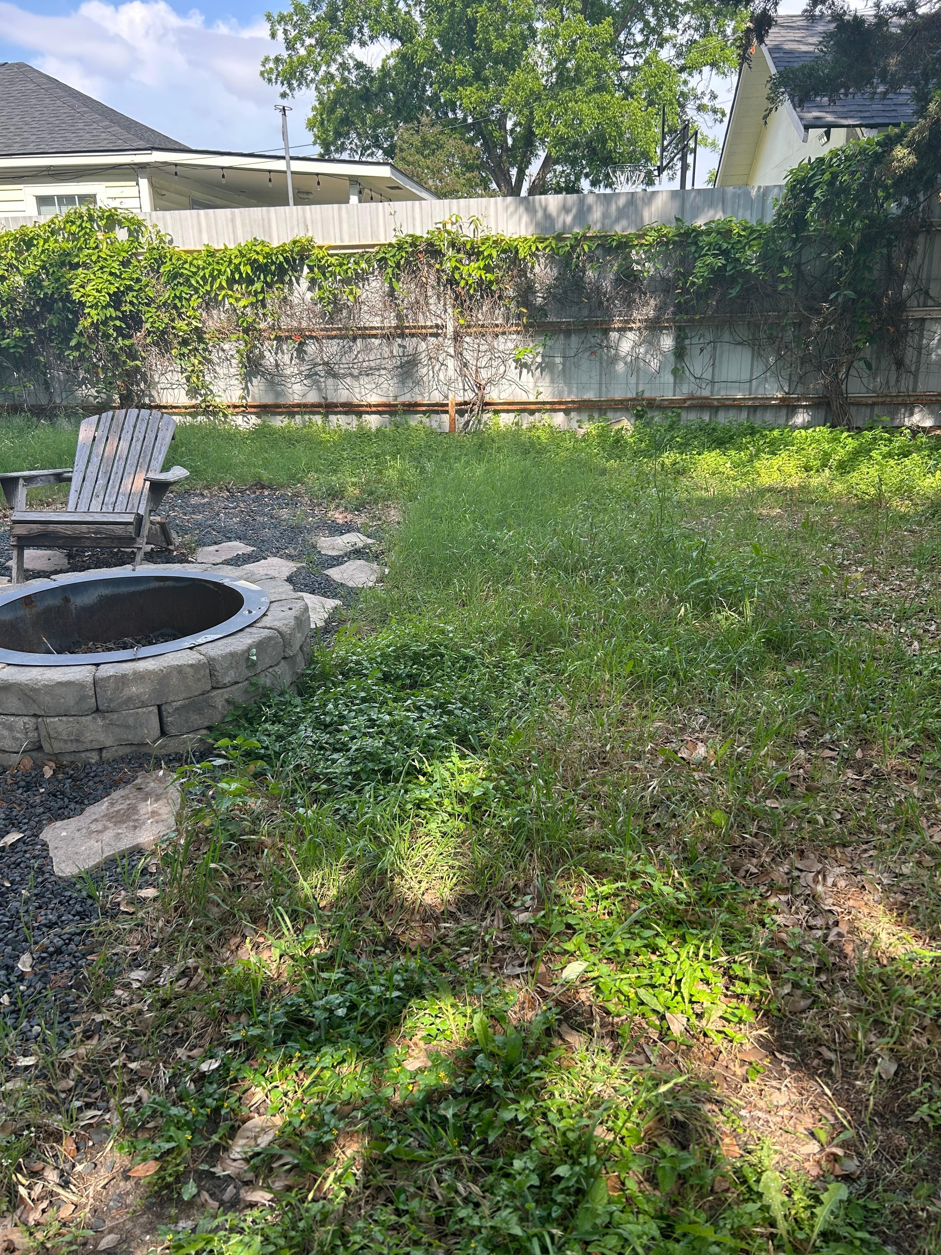 Back yard