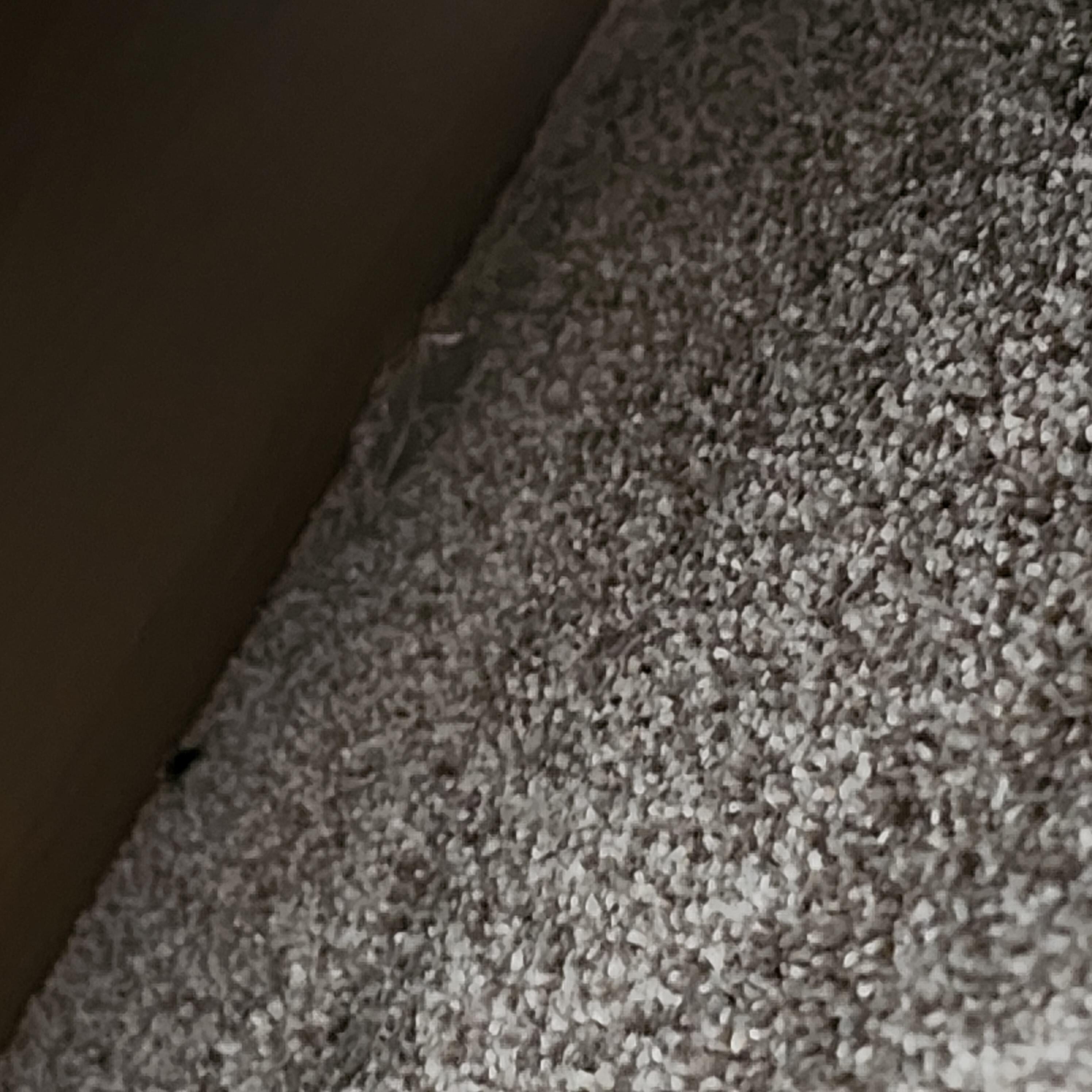 Trash/waterbottle under another bed