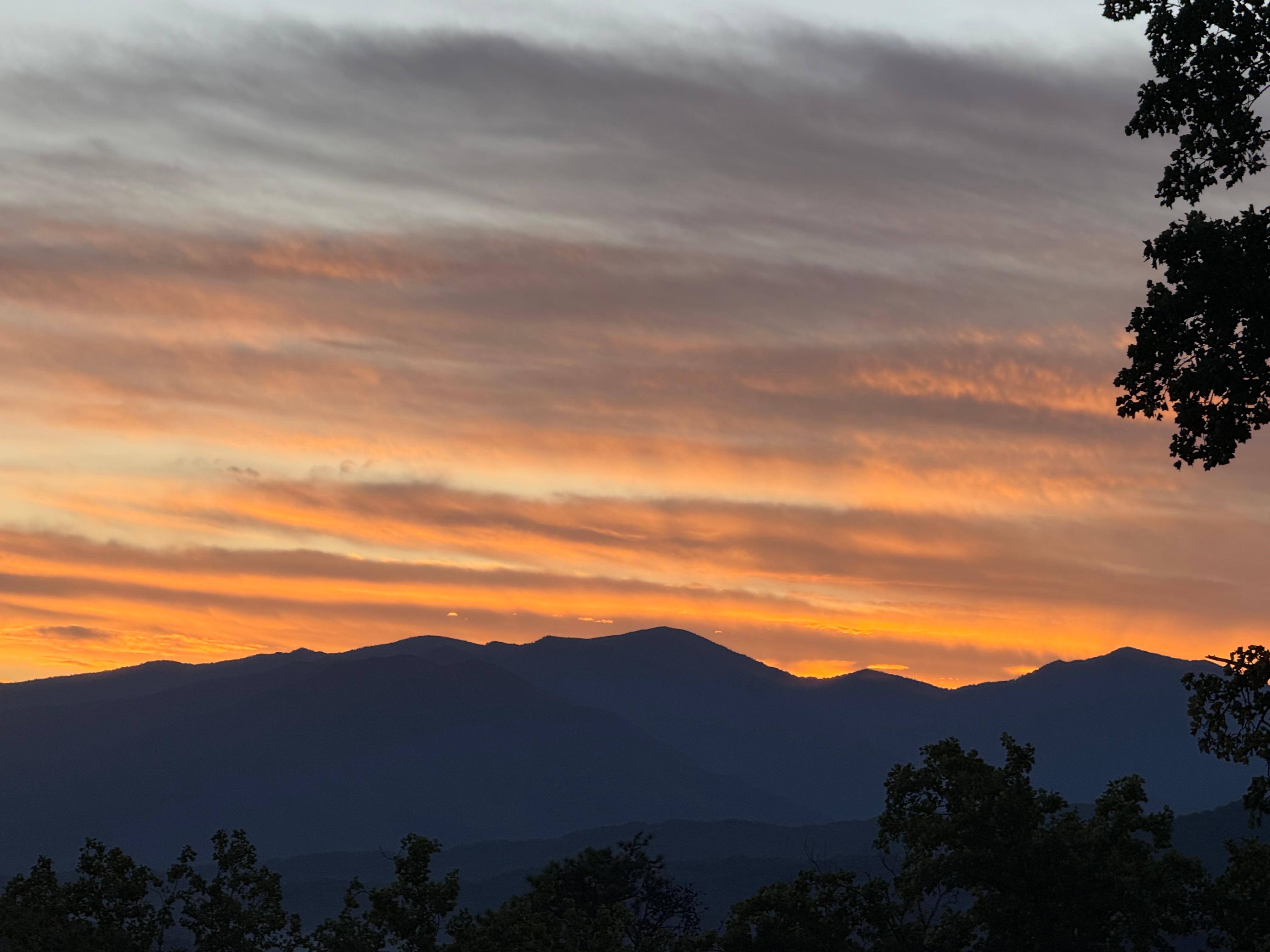Mornings from the deck