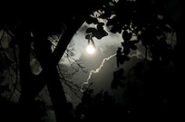 Moonrise Roatan.