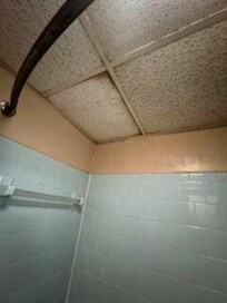 ceiling above the shower
