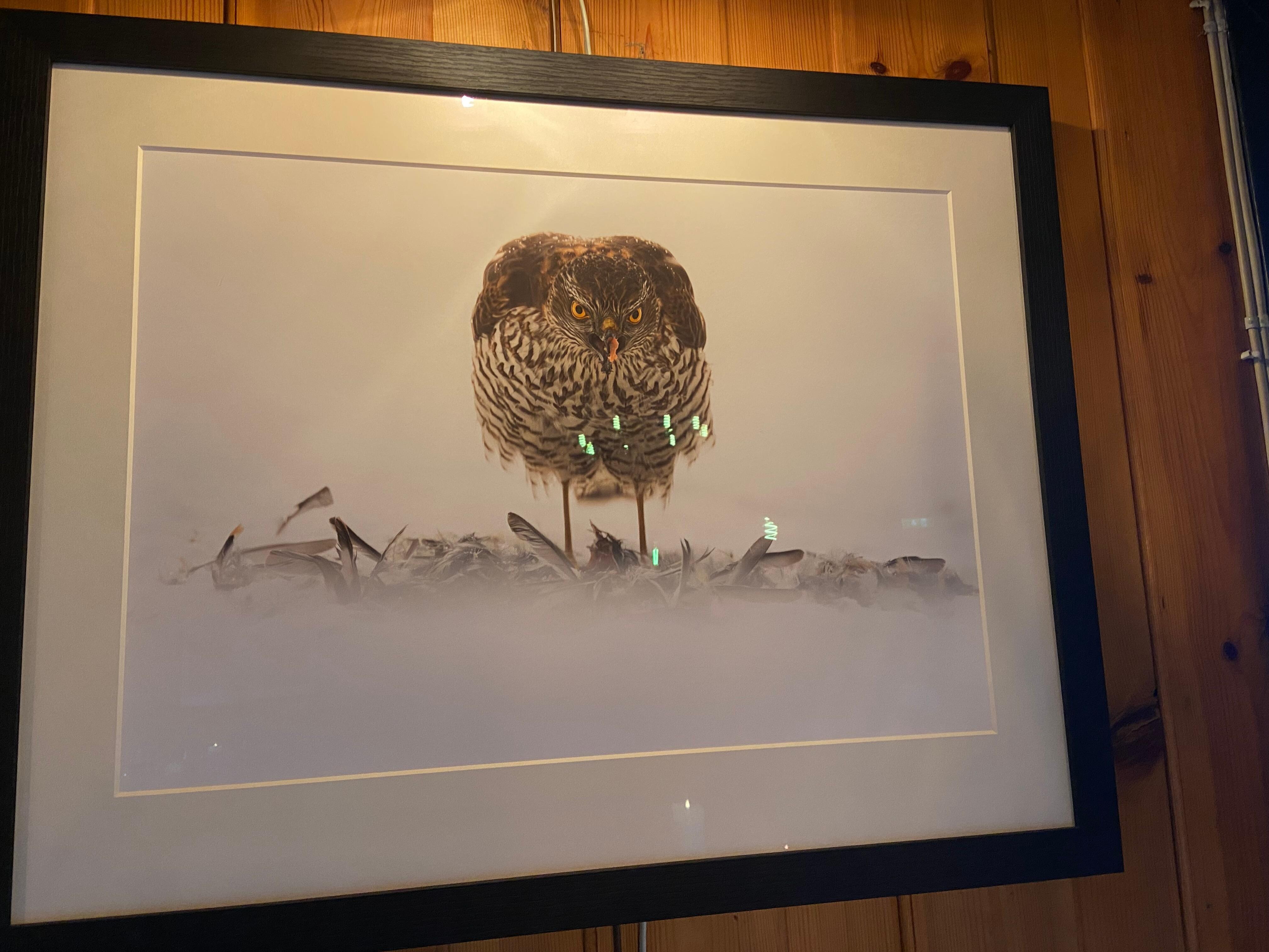 Fotografi til salgs i restauranten