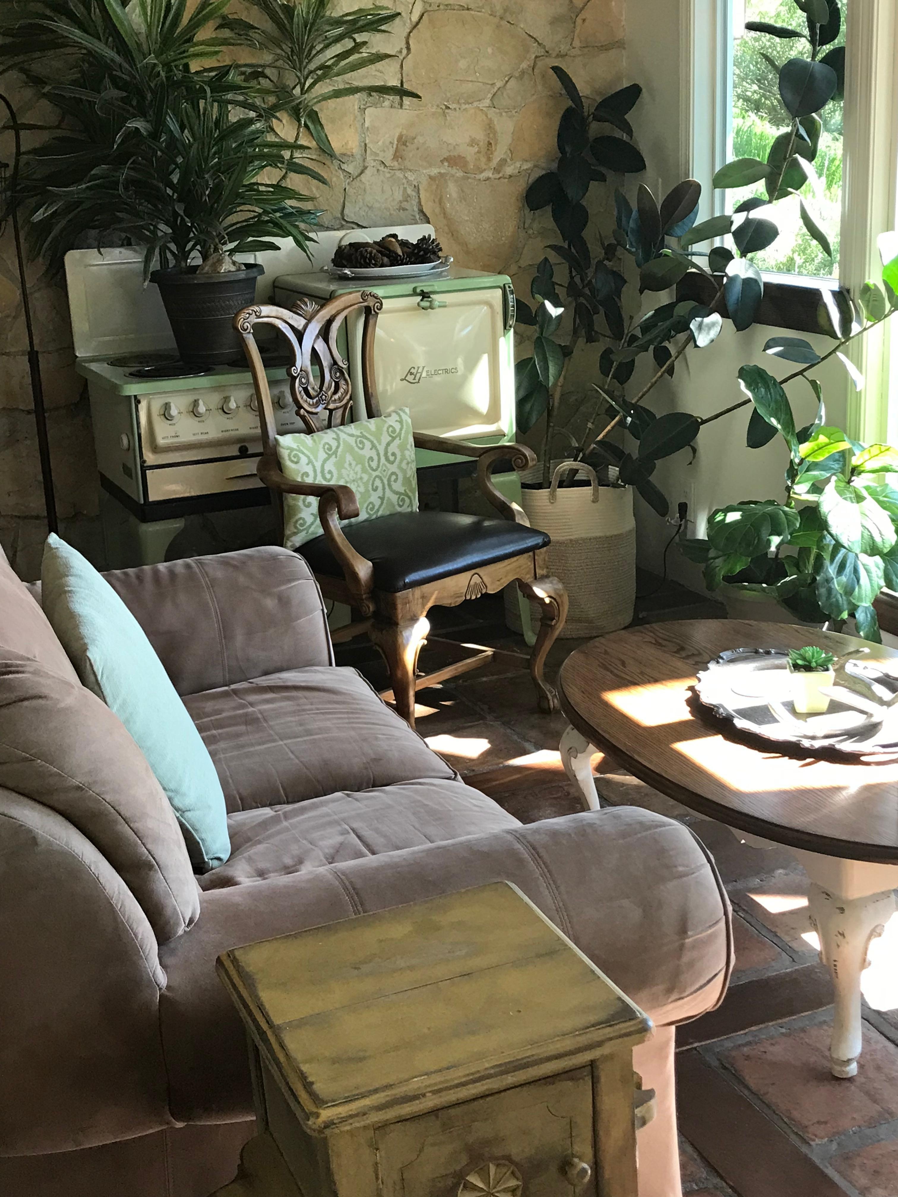 Sunny and unique interiors with beautiful plants.