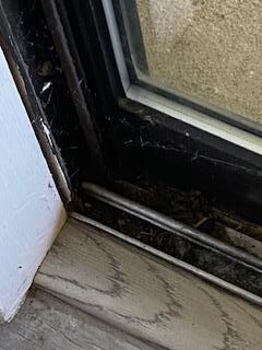 sliding glass door