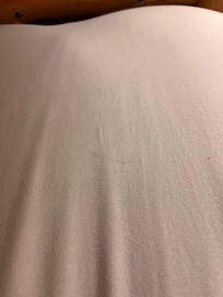 Long black hairs. Not mine on sheets and pillows. One pillow smelled like perfume.