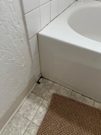 a hole in the floor and filled with mildew