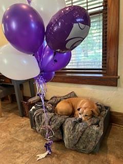 Babe enjoyed the bed provided by host. Thank you.