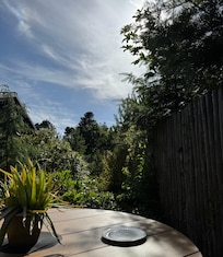 View of part of garden from one of the dining areas