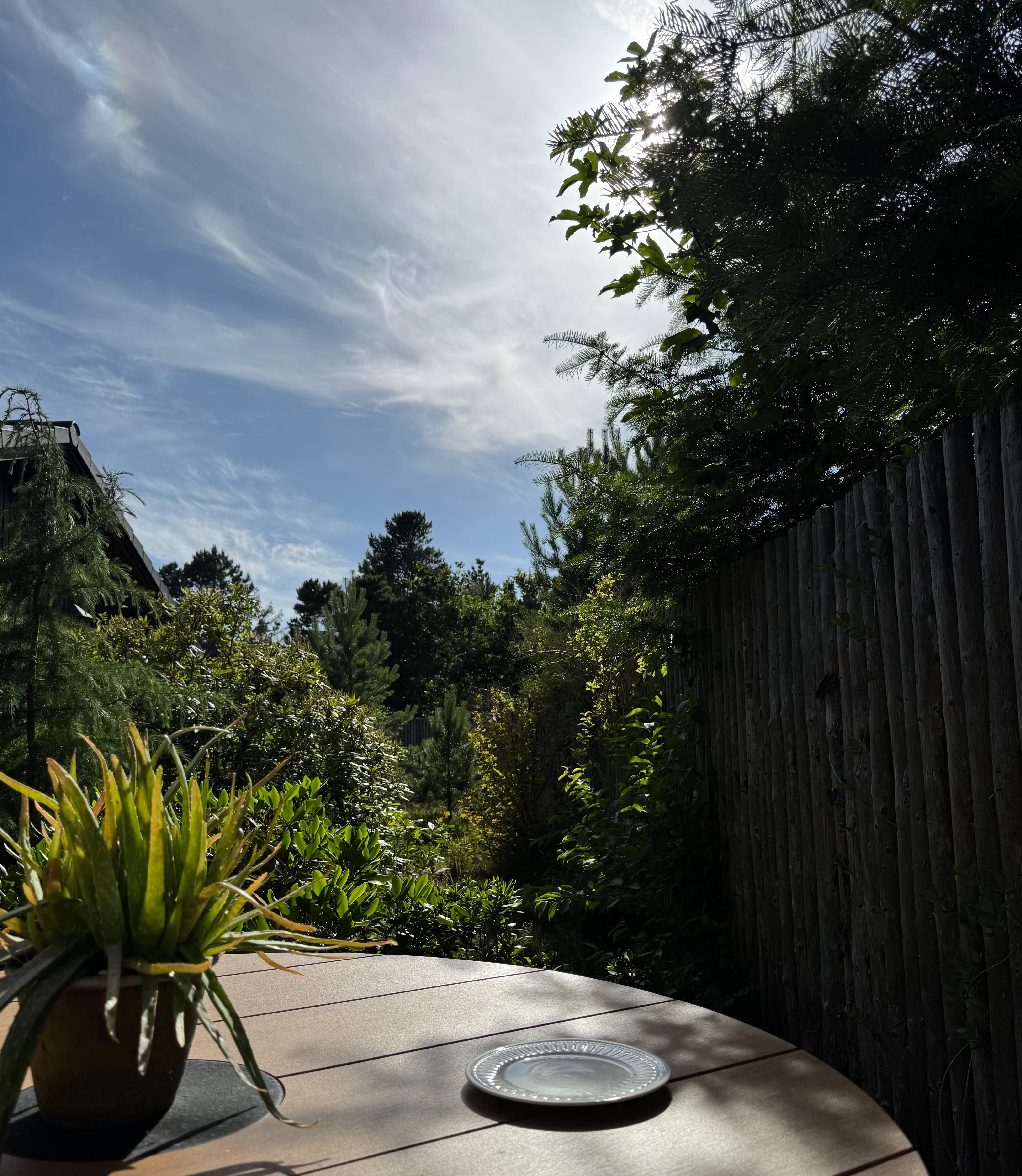 View of part of garden from one of the dining areas