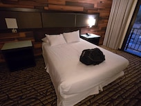 Queen trying to pass off as king