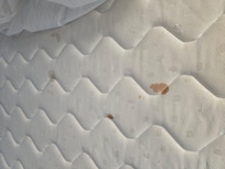 Blood on mattress