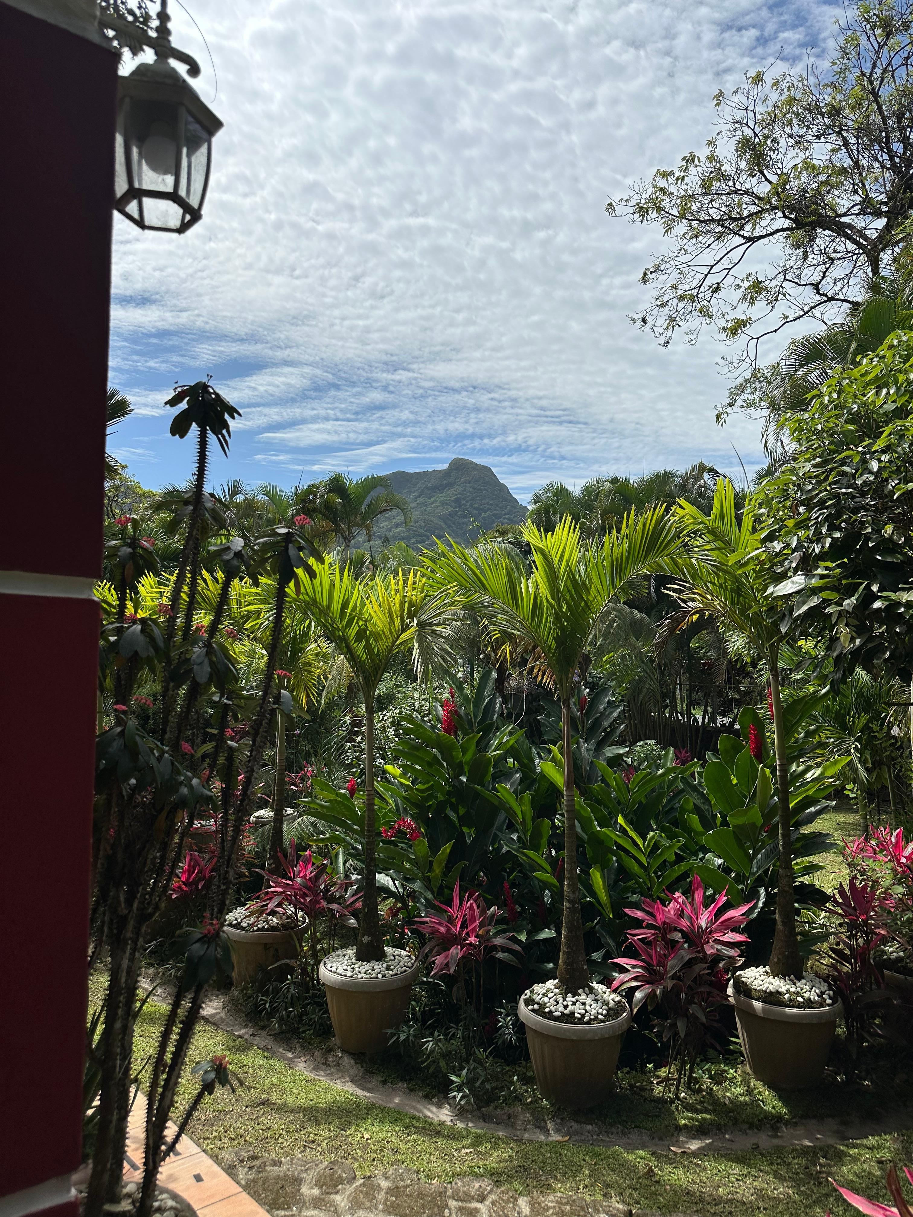 Her garden is lovely and it’s quiet for being a close walk to the Main Street. 