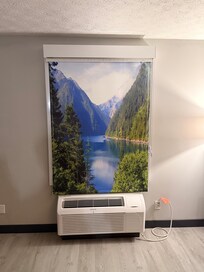 Window with pull down lake scene printed on the curtain.