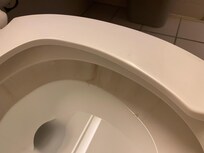 Black ringing toilet