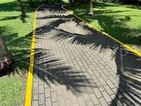 Palm Shadows - beautiful!