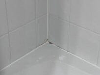 Mold