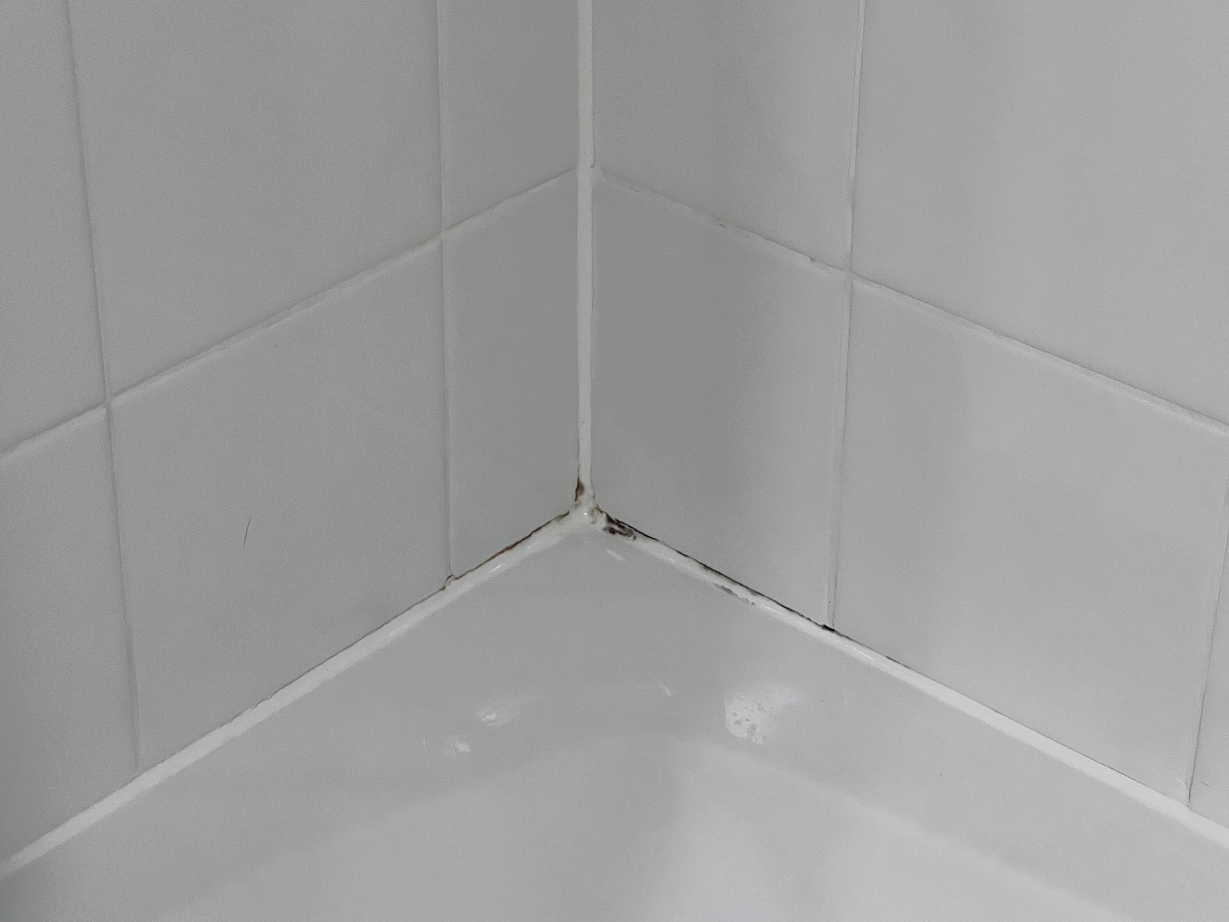 Mold
