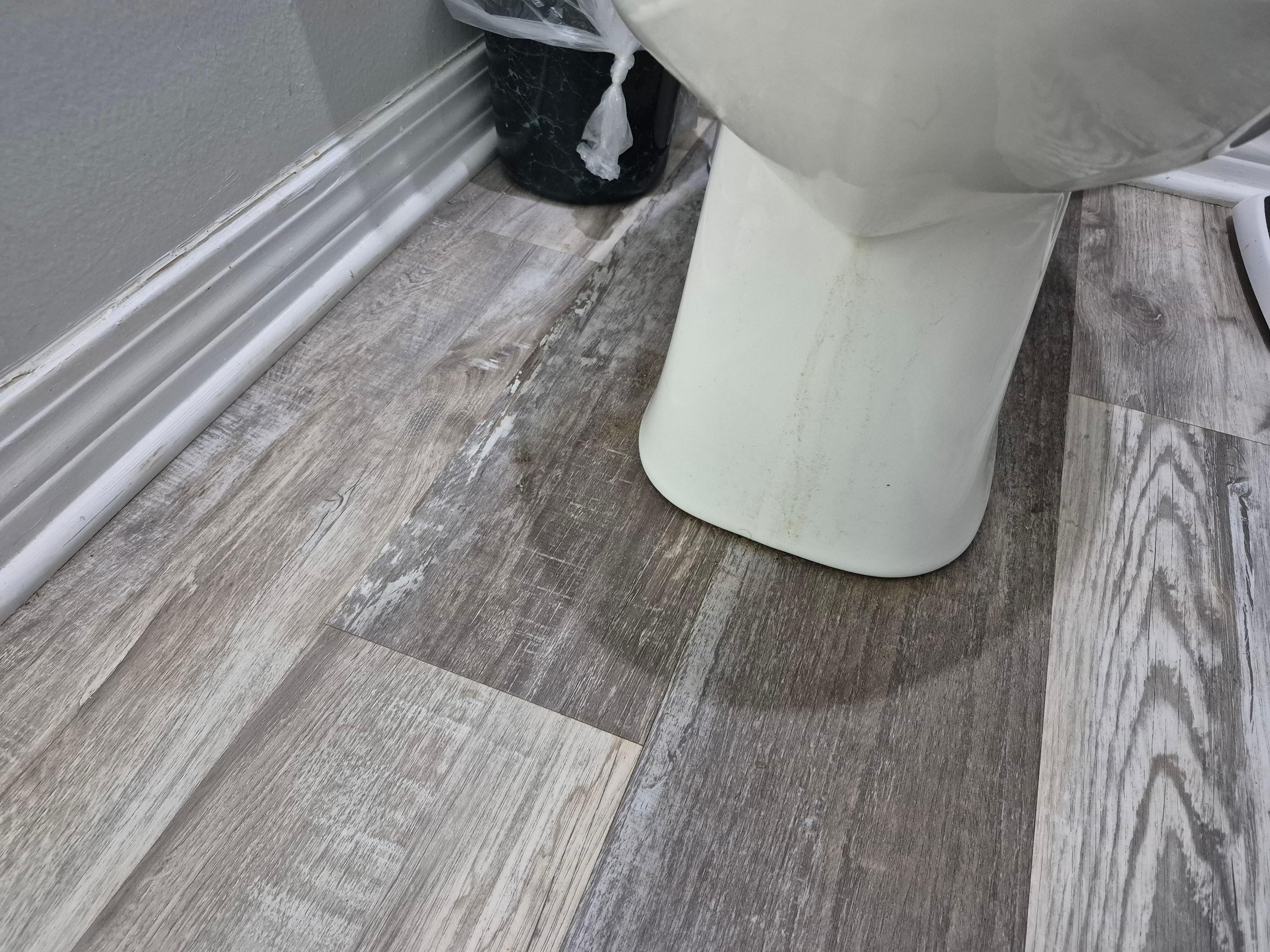 Dust bunny & dried pee 🤢