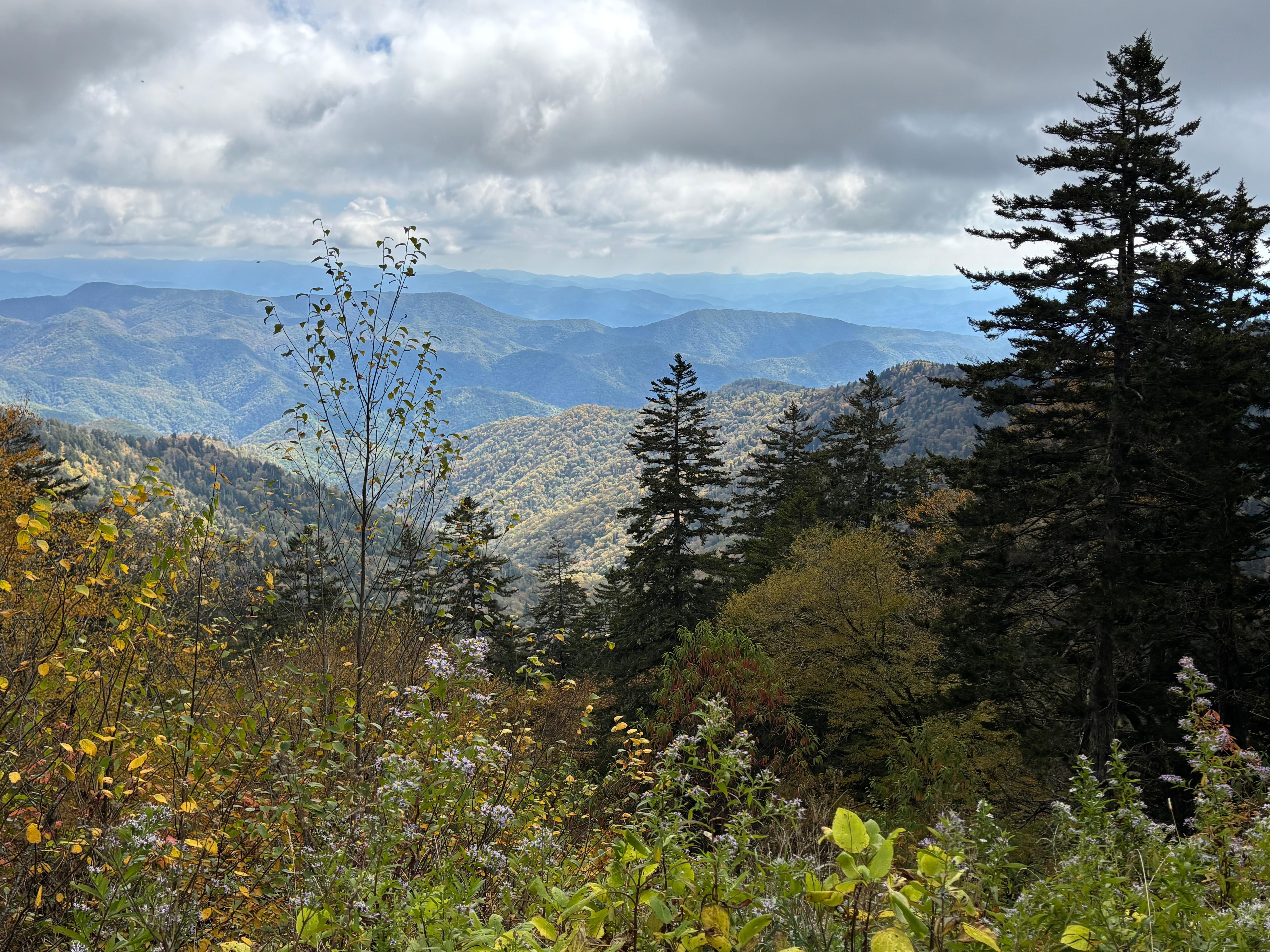 Drive to Kiwohi in the Great Smoky Mountains National Park.