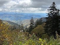 Drive to Kiwohi in the Great Smoky Mountains National Park.