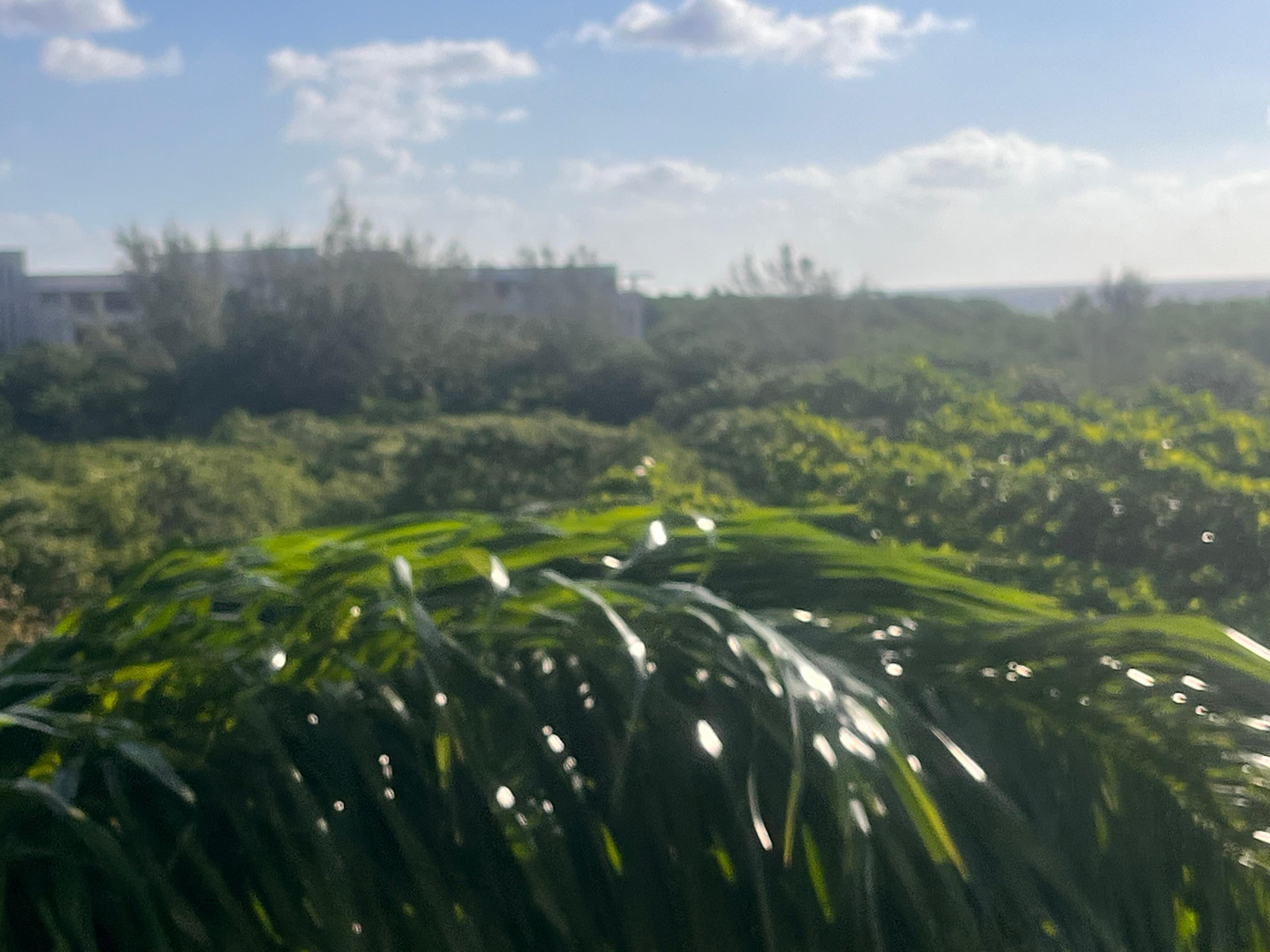Beautiful view from balcony