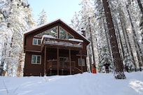 Back yard view of the family playing in the snow.