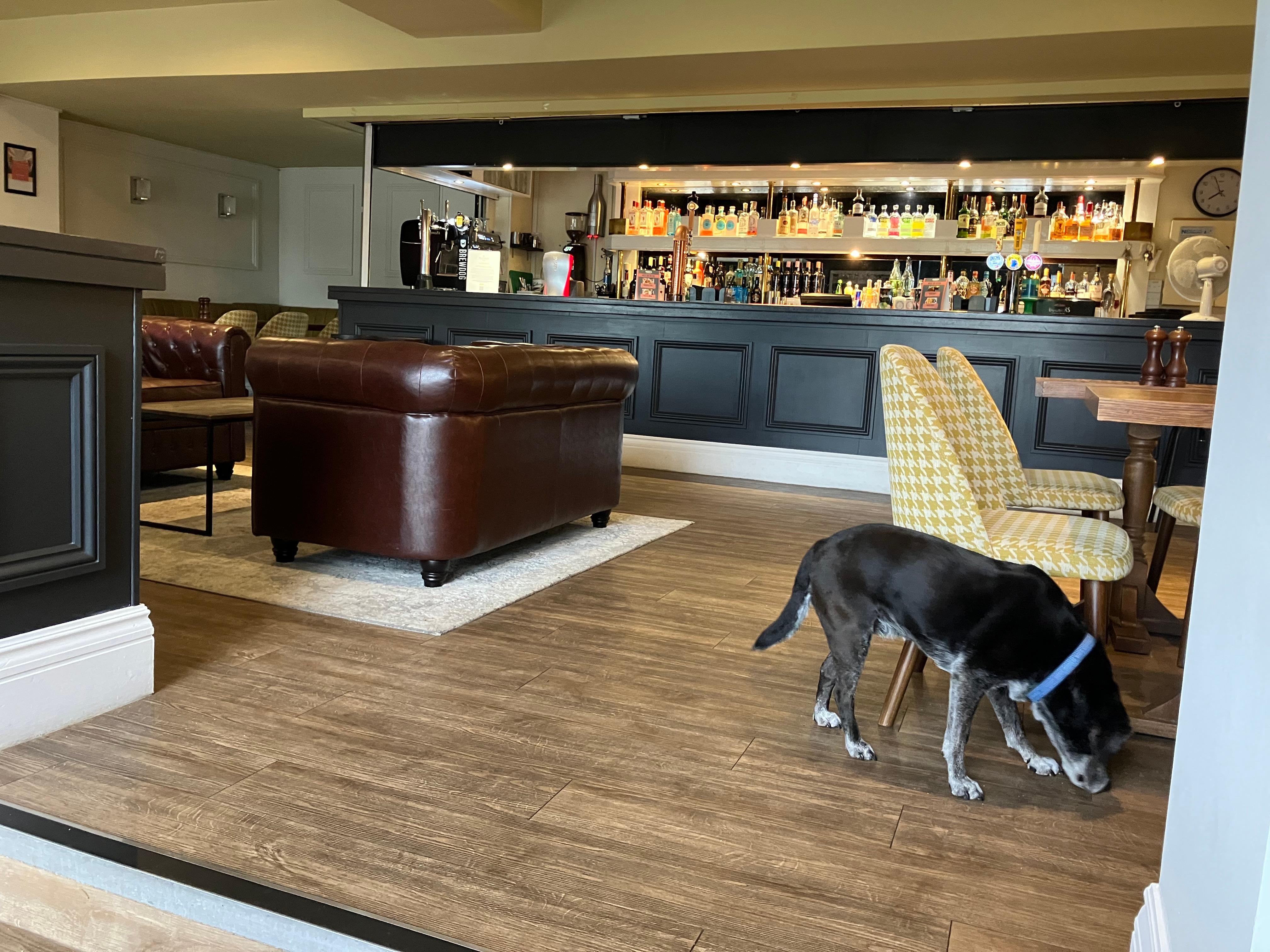 Bar area of Marco’s restaurant