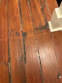 Floor saturated in urine