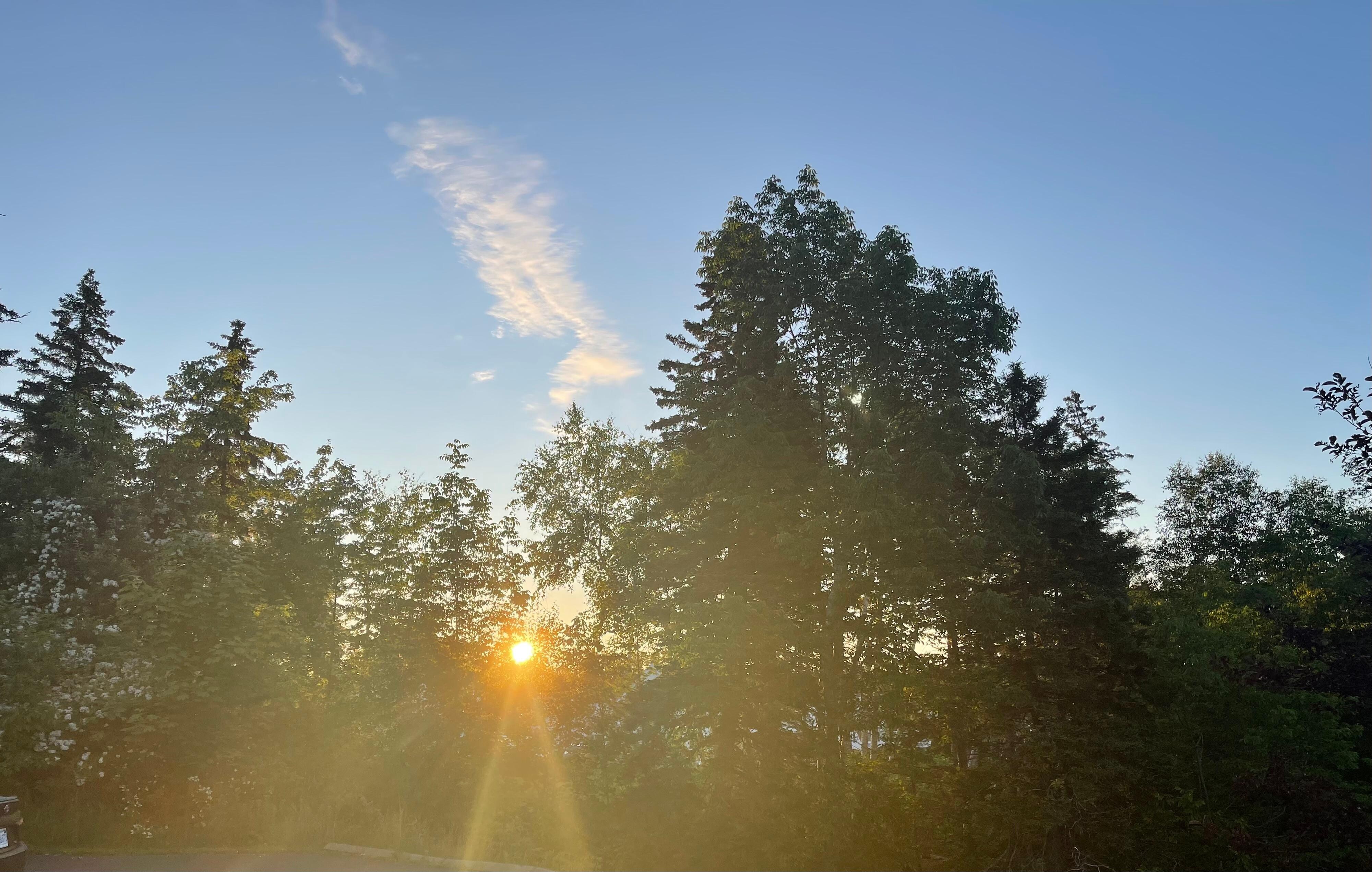 Sunrise 