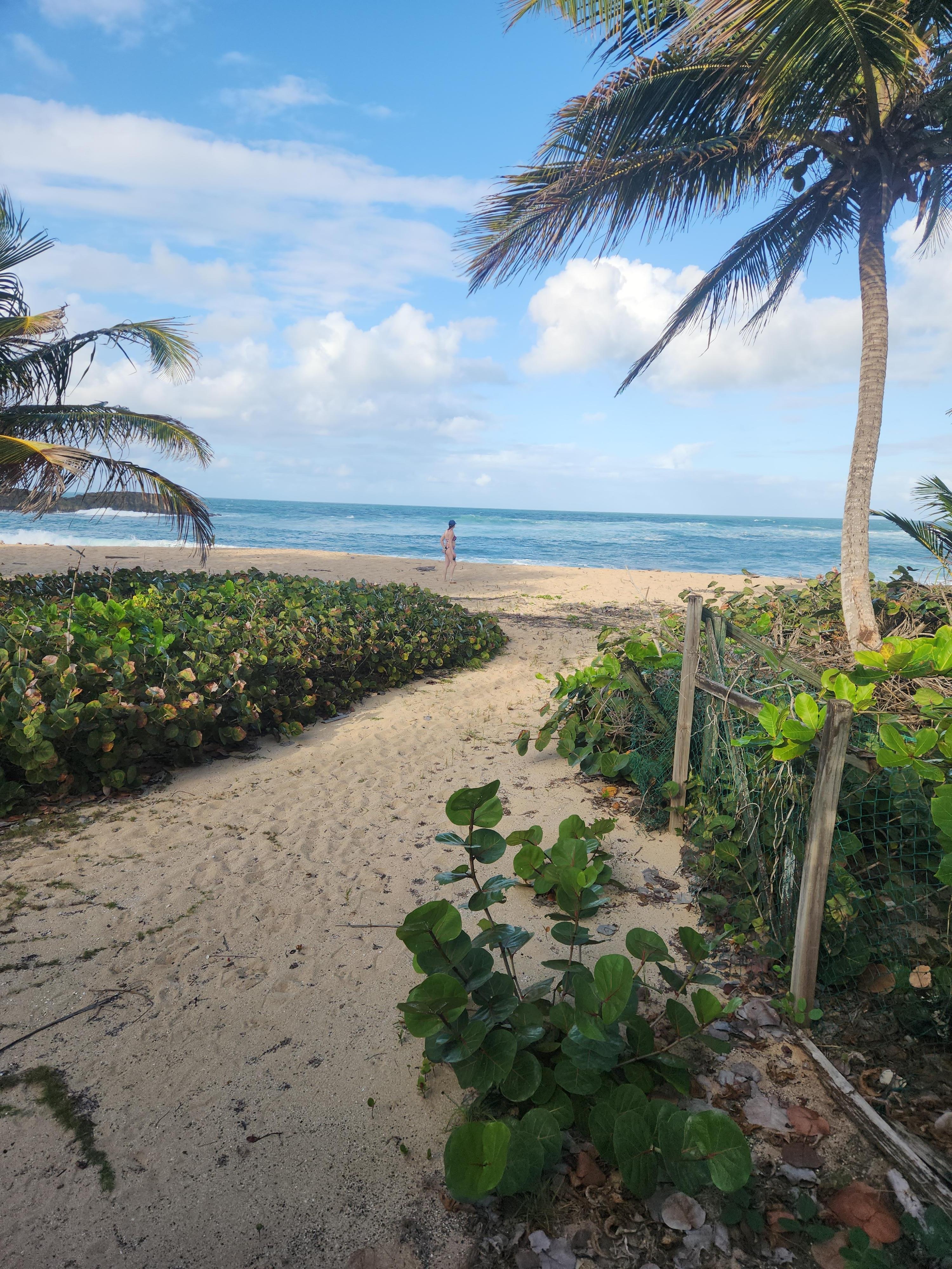 This is the path to the beach from condo.. but it's  not safe to swim here.   You have to go to the adjacent beach Marchiquita beach to swim.  Grocery store & walmart close.  Couple little restaurants/bars within a few minutes. 
