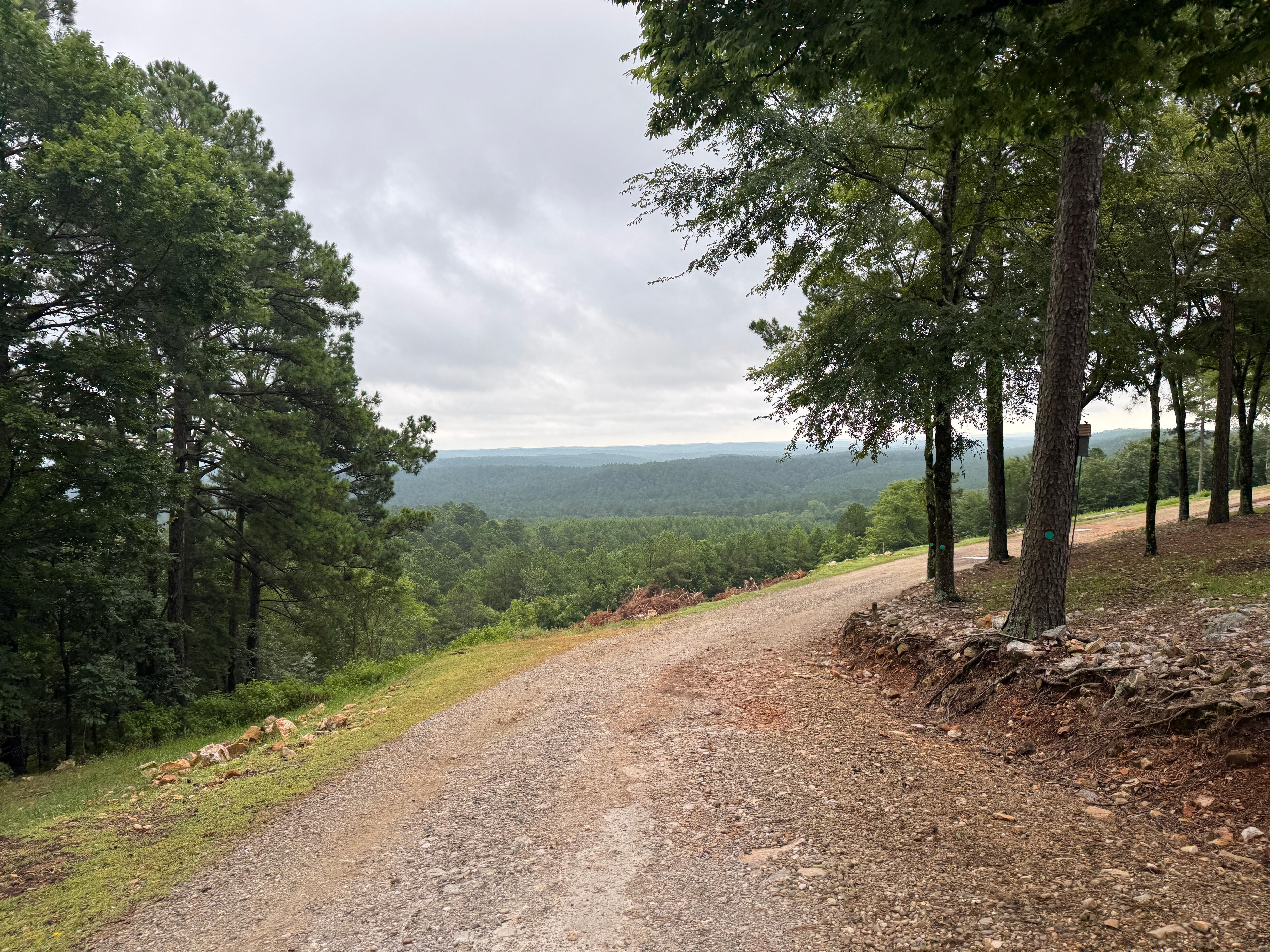 The road leading up to the property 
