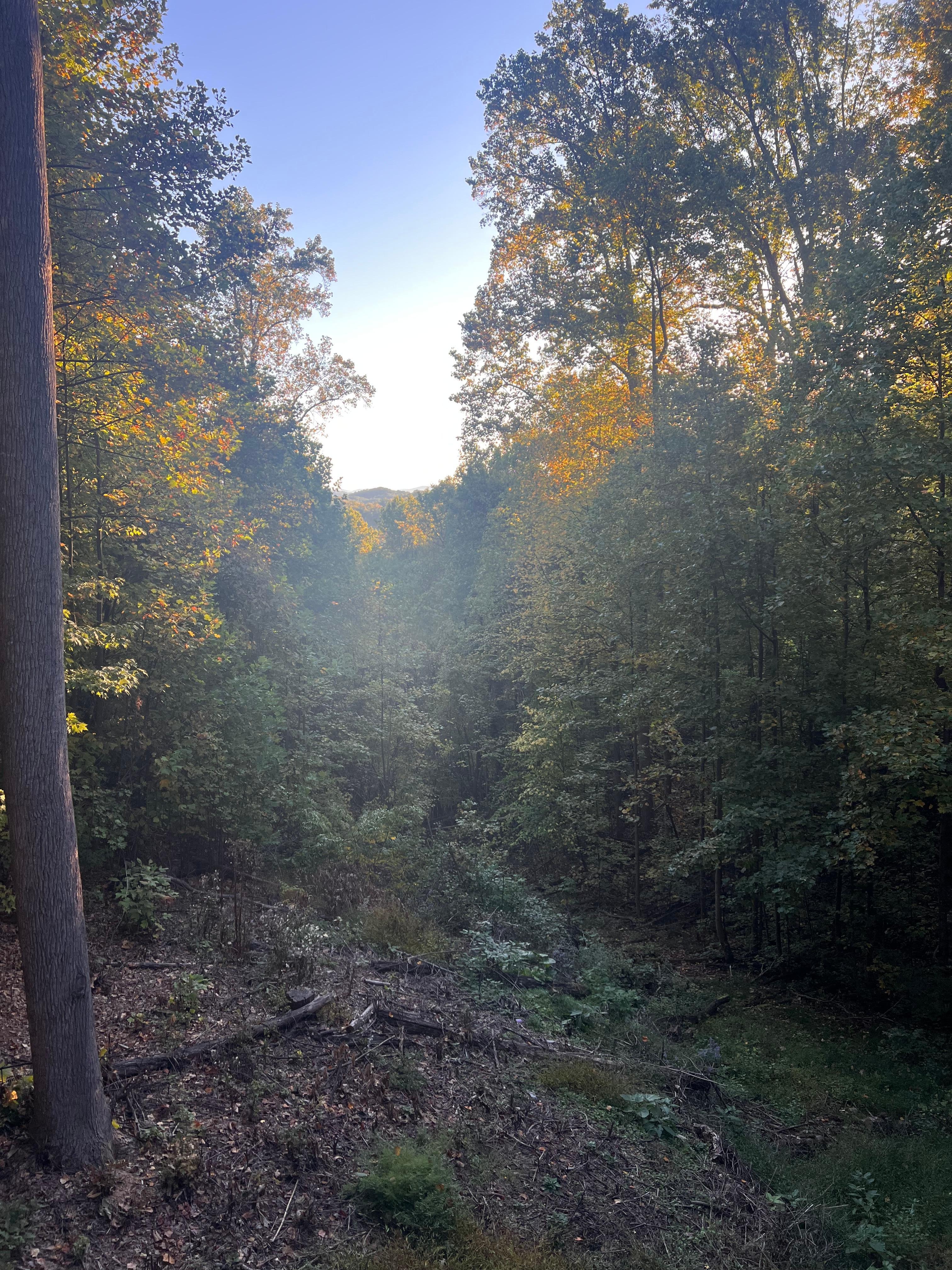 Afternoon view from the patio.