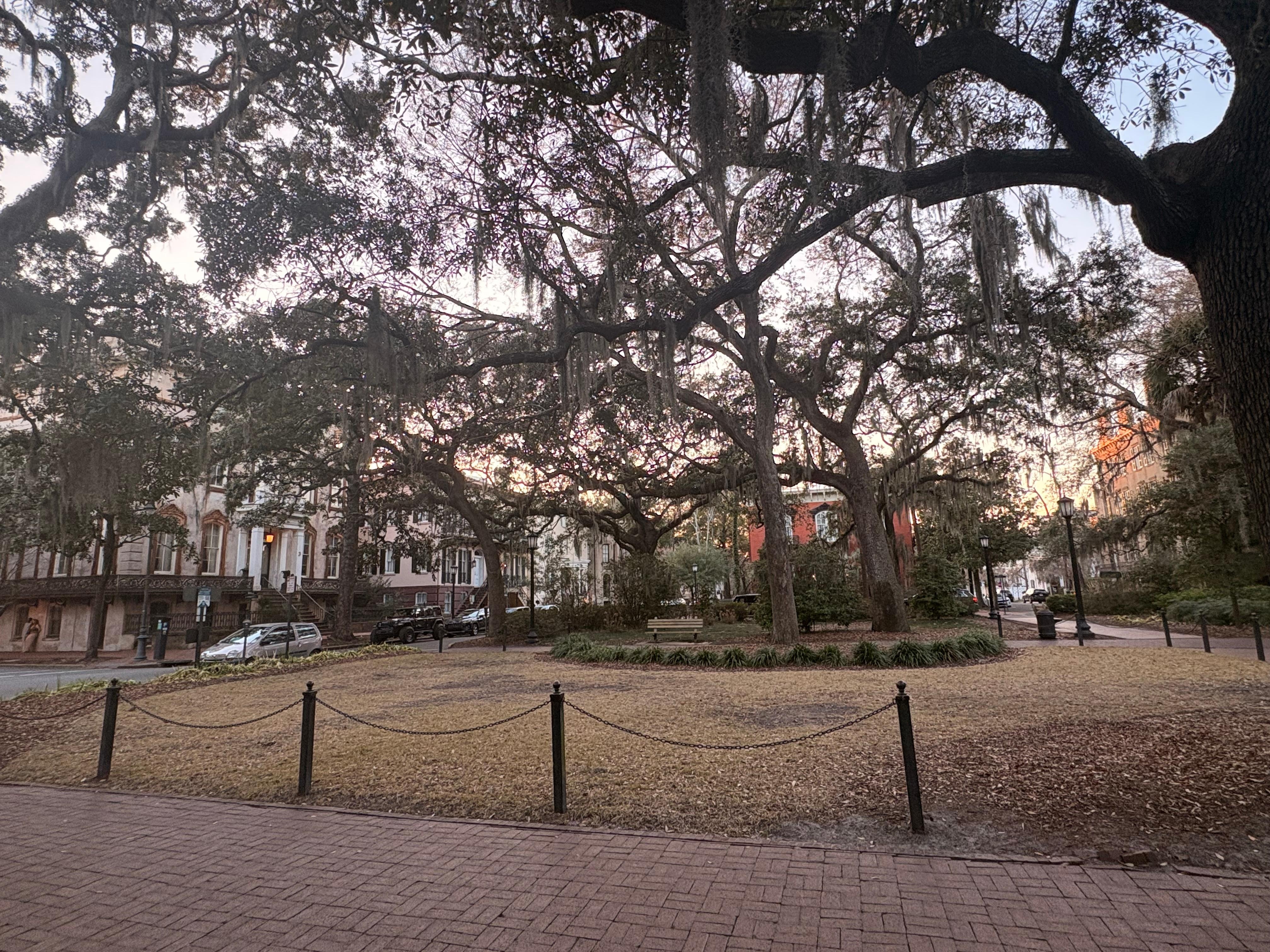 The gorgeous view of the Monterey Square directly outside of the front door.