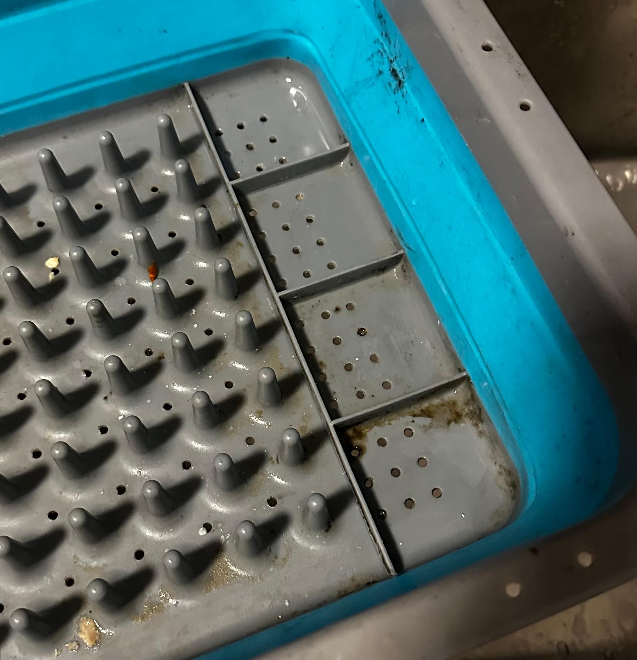 Mold on the kitchen sink drying mat