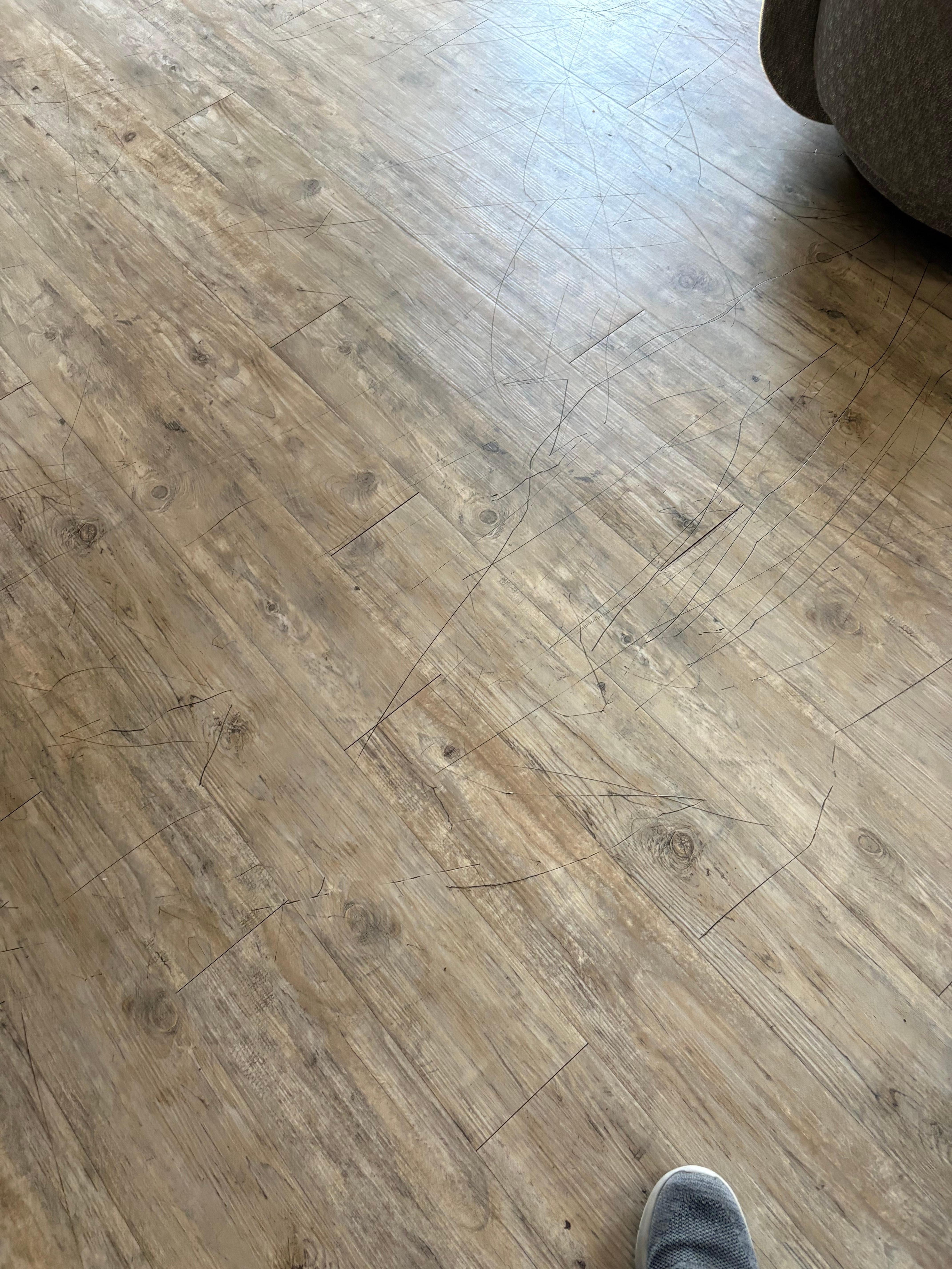 Numerous scratches in the floor. 