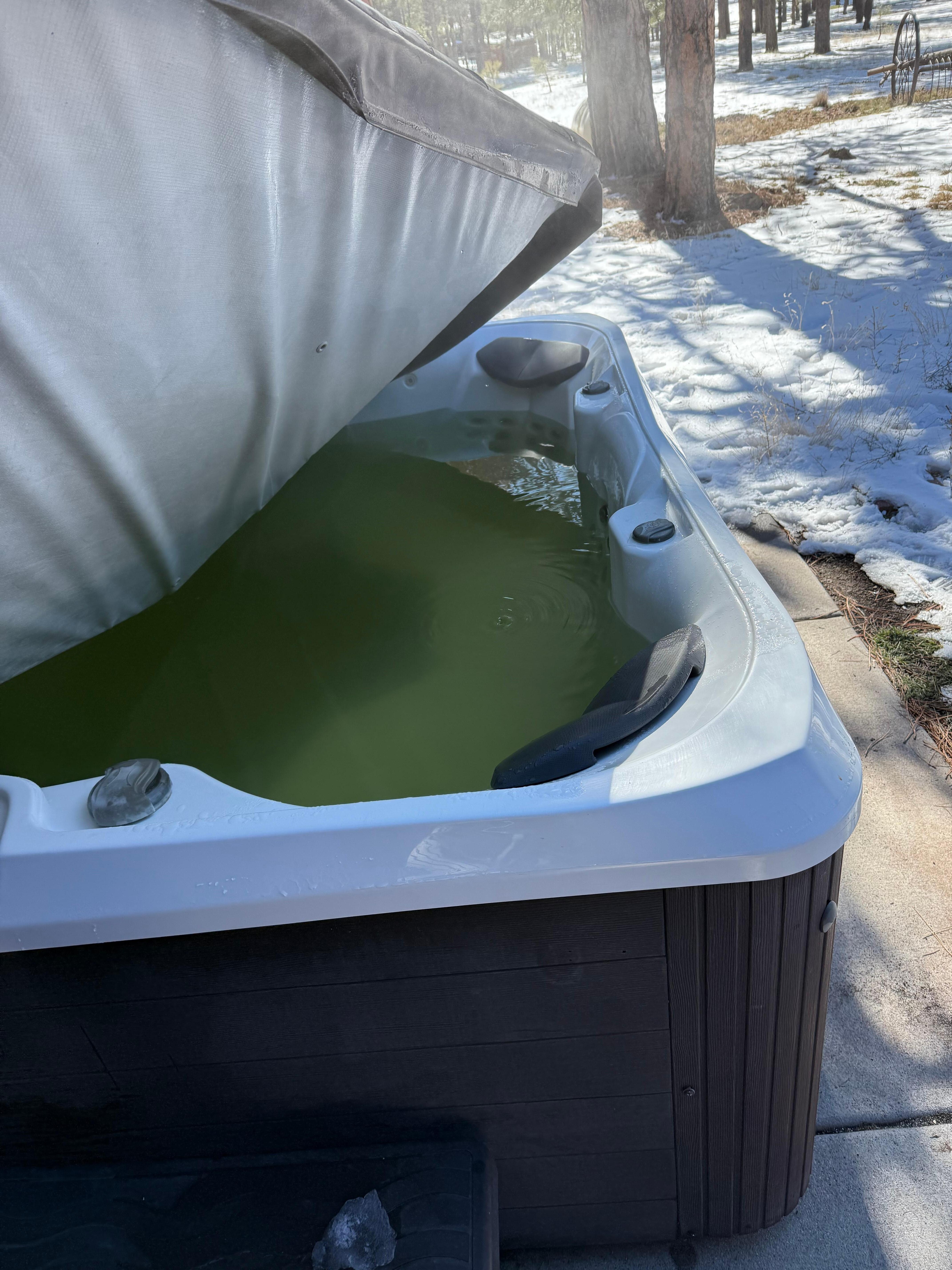 Algae growing in outdoor jacuzzi - also bad smell.