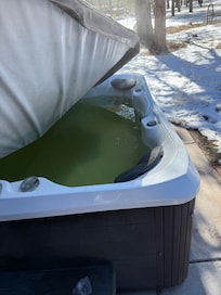 Algae growing in outdoor jacuzzi - also bad smell.
