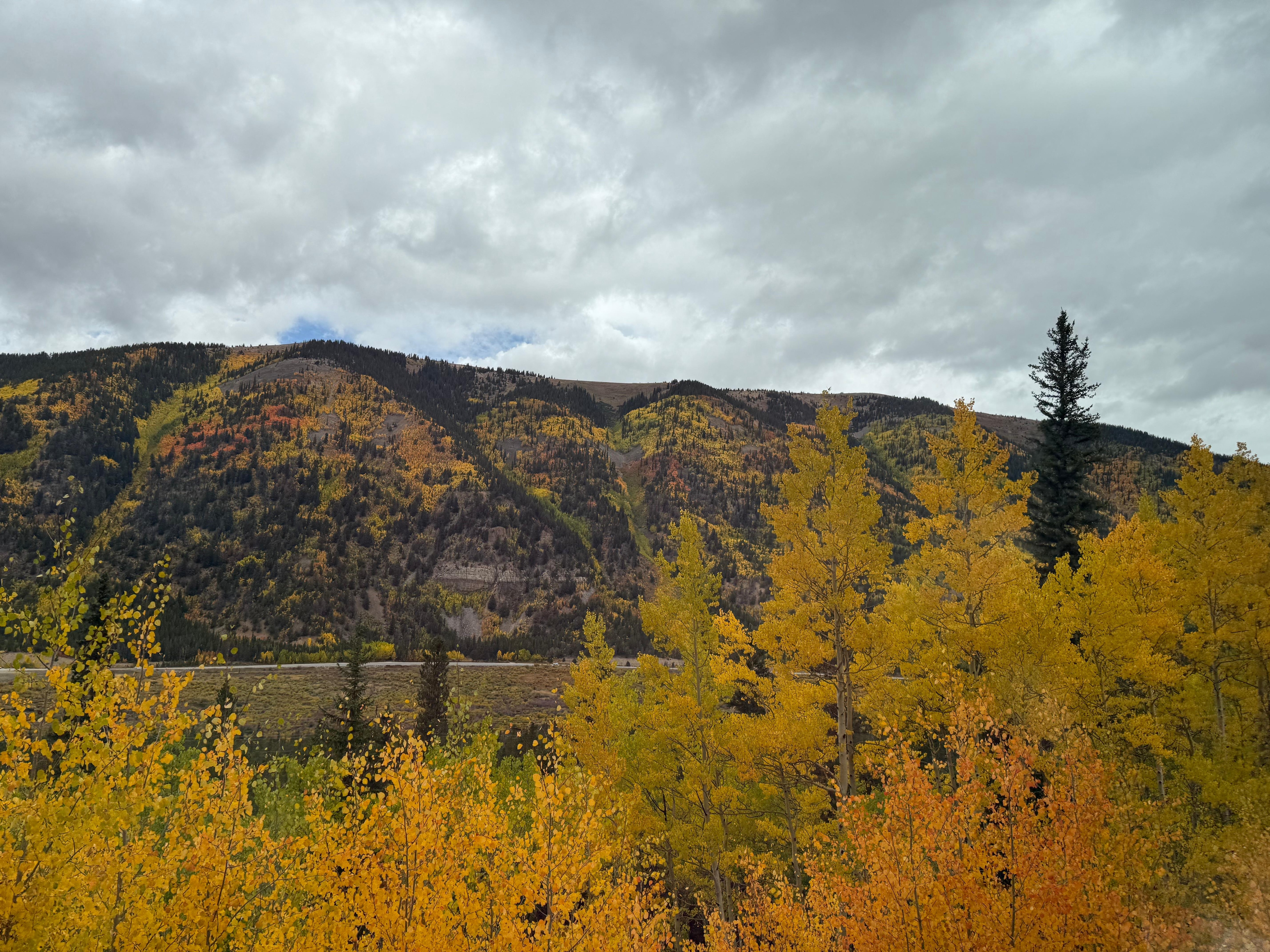 Views from the Leadville train 