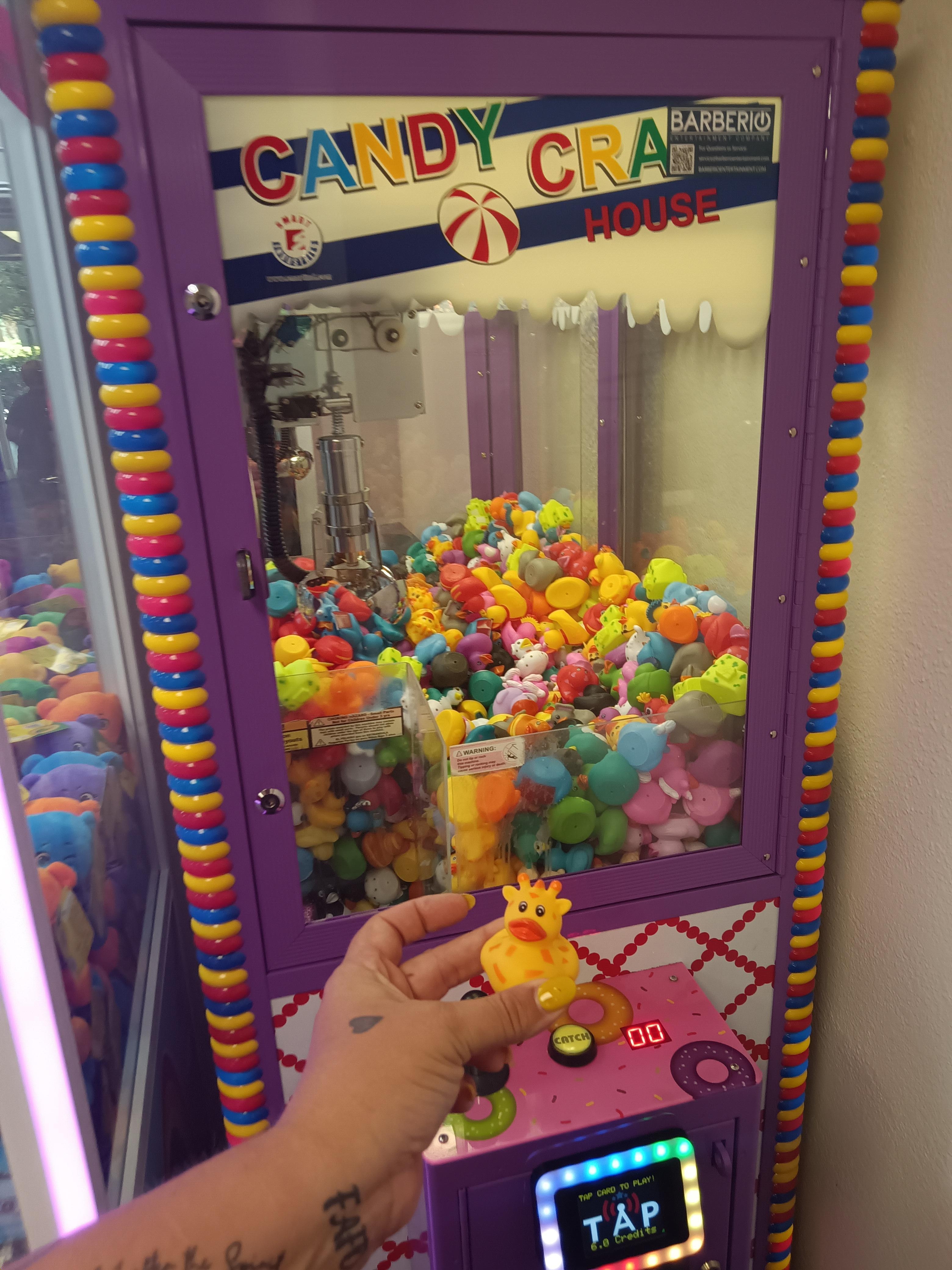 The cute duck machine in the arcade!