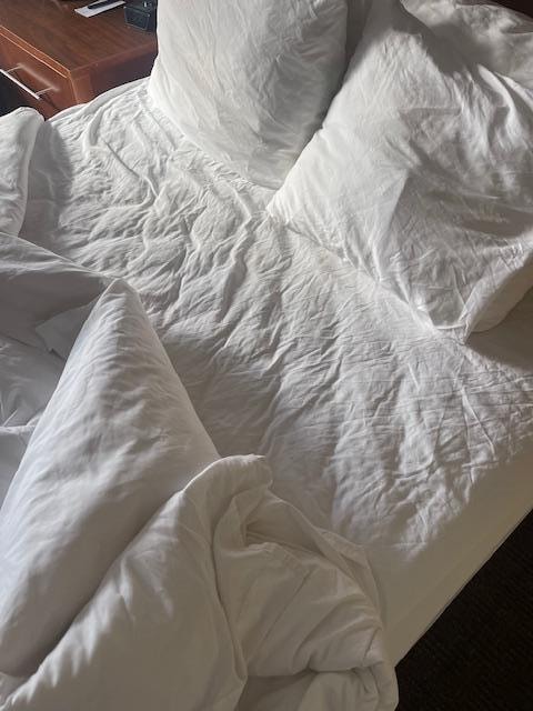 Bed and pillows looked like someone just got up and the other bed was perfect. 