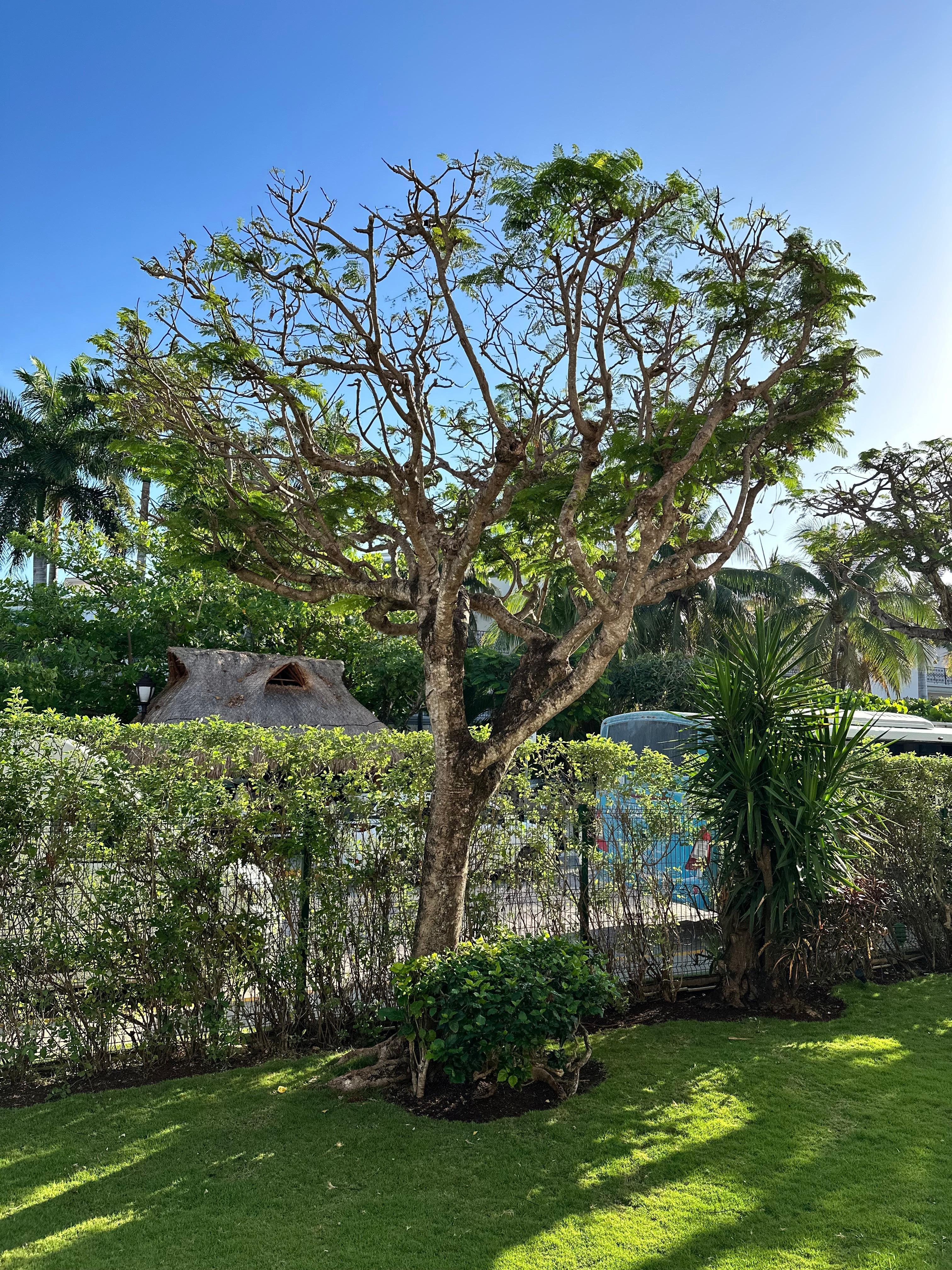 View of street from our balcony 