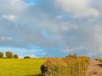 An Irish rainbow over the Farmhouse fields was icing on the cake